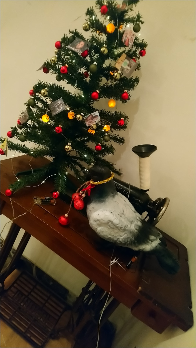 Piccione di Natale..JPG